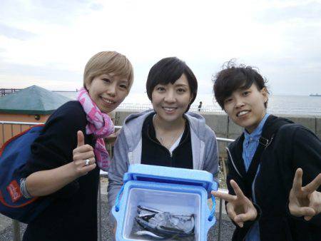 大阪南港海つり公園 釣果