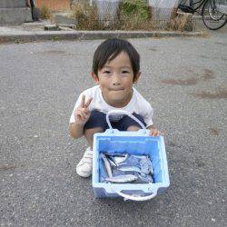 大阪南港海つり公園 釣果