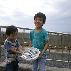 大阪南港海つり公園 釣果