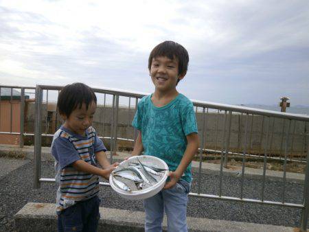 大阪南港海つり公園 釣果