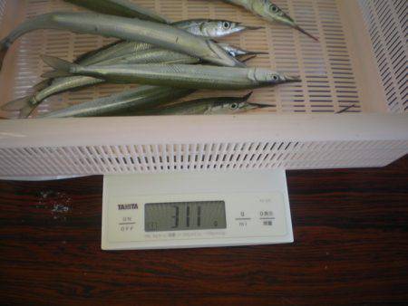 姫路市立遊魚センター 釣果