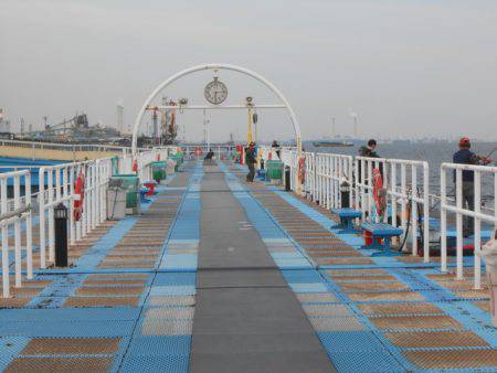 オリジナルメーカー海づり公園(市原市海づり施設) 釣果