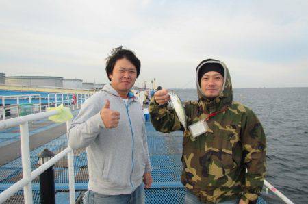 オリジナルメーカー海づり公園(市原市海づり施設) 釣果