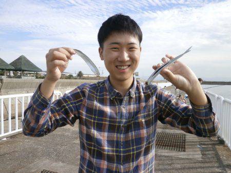 大阪南港海つり公園 釣果