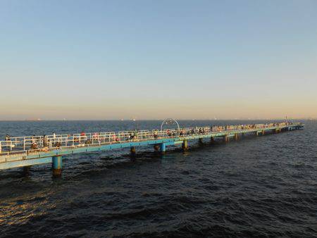 オリジナルメーカー海づり公園(市原市海づり施設) 釣果