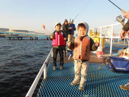オリジナルメーカー海づり公園(市原市海づり施設) 釣果