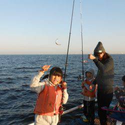 オリジナルメーカー海づり公園(市原市海づり施設) 釣果