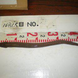 姫路市立遊魚センター 釣果