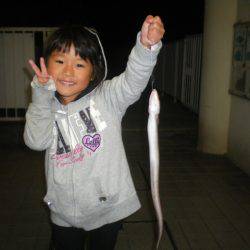 姫路市立遊魚センター 釣果