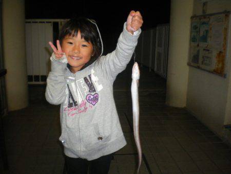 姫路市立遊魚センター 釣果