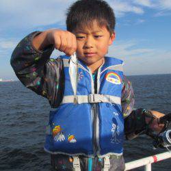 オリジナルメーカー海づり公園(市原市海づり施設) 釣果