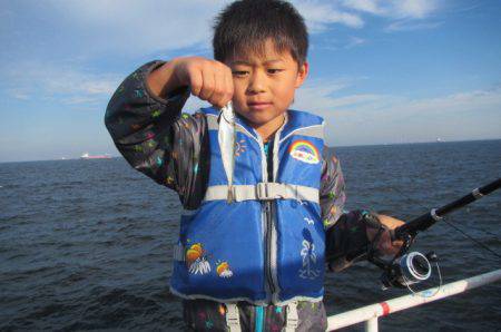 オリジナルメーカー海づり公園(市原市海づり施設) 釣果