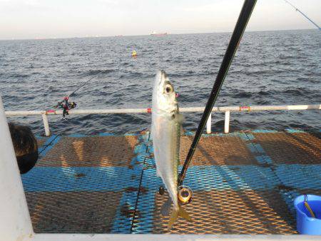 オリジナルメーカー海づり公園(市原市海づり…