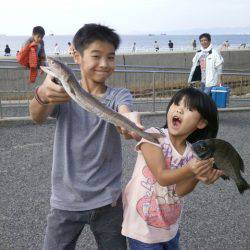 大阪南港海つり公園 釣果