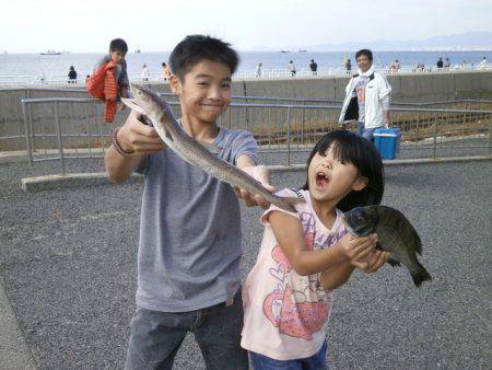 大阪南港海つり公園 釣果
