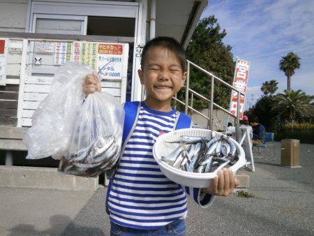 大阪南港海つり公園 釣果