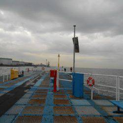 オリジナルメーカー海づり公園(市原市海づり施設) 釣果