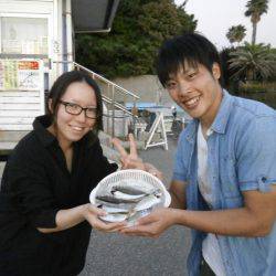 大阪南港海つり公園 釣果