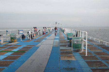 オリジナルメーカー海づり公園(市原市海づり施設) 釣果