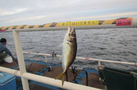 オリジナルメーカー海づり公園(市原市海づり…