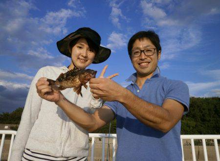 大阪南港海つり公園 釣果