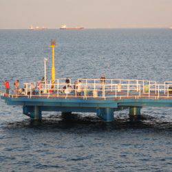 オリジナルメーカー海づり公園(市原市海づり施設) 釣果