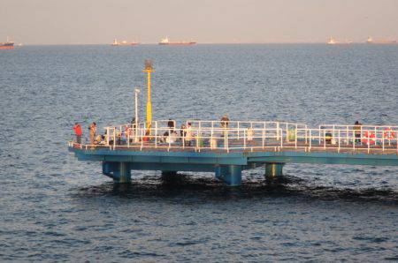 オリジナルメーカー海づり公園(市原市海づり施設) 釣果