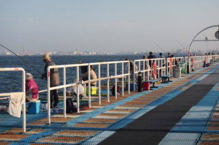 オリジナルメーカー海づり公園(市原市海づり施設) 釣果