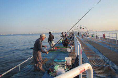 オリジナルメーカー海づり公園(市原市海づり施設) 釣果