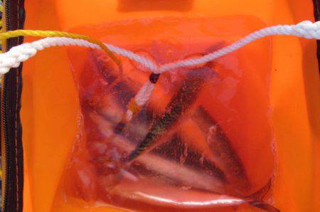 オリジナルメーカー海づり公園(市原市海づり施設) 釣果