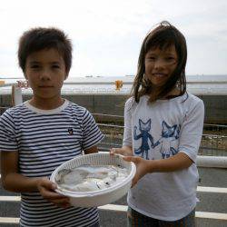 大阪南港海つり公園 釣果