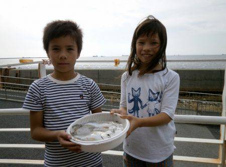 大阪南港海つり公園 釣果