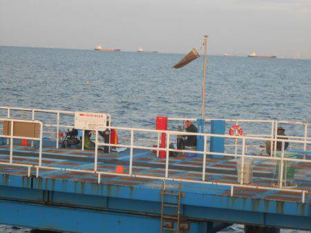 オリジナルメーカー海づり公園(市原市海づり施設) 釣果