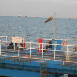 オリジナルメーカー海づり公園(市原市海づり施設) 釣果