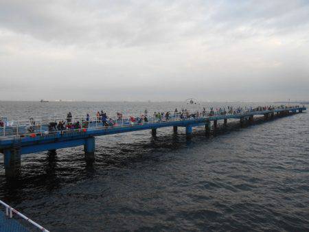 オリジナルメーカー海づり公園(市原市海づり施設) 釣果