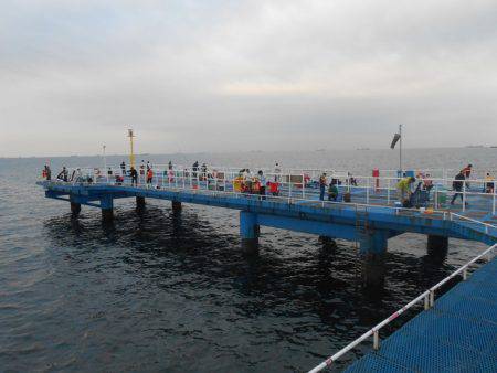 オリジナルメーカー海づり公園(市原市海づり施設) 釣果