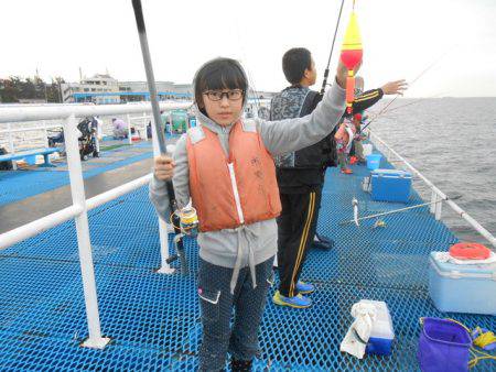 オリジナルメーカー海づり公園(市原市海づり施設) 釣果