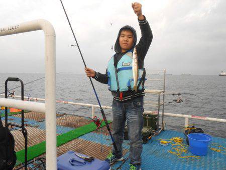オリジナルメーカー海づり公園(市原市海づり施設) 釣果