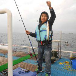 オリジナルメーカー海づり公園(市原市海づり施設) 釣果