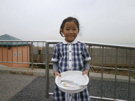 大阪南港海つり公園 釣果