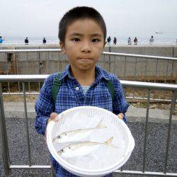 大阪南港海つり公園 釣果