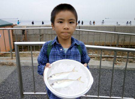 大阪南港海つり公園 釣果