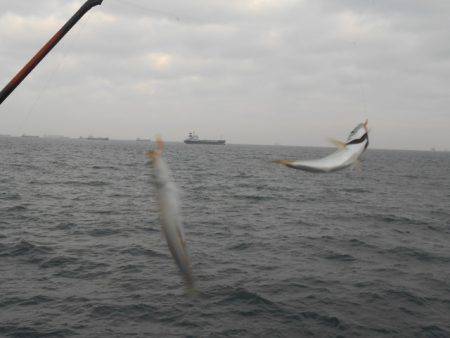 オリジナルメーカー海づり公園(市原市海づり…