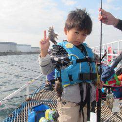 オリジナルメーカー海づり公園(市原市海づり施設) 釣果