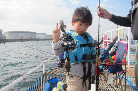 オリジナルメーカー海づり公園(市原市海づり施設) 釣果