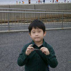 大阪南港海つり公園 釣果