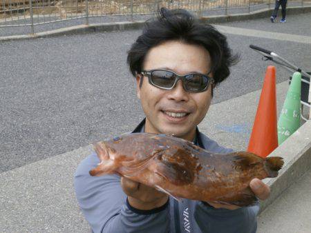 大阪南港海つり公園 釣果