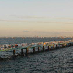 オリジナルメーカー海づり公園(市原市海づり施設) 釣果