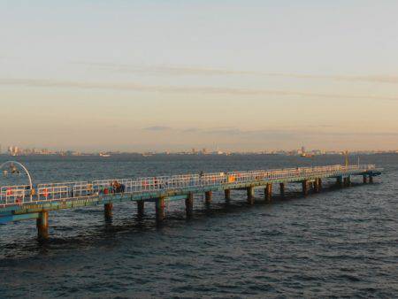 オリジナルメーカー海づり公園(市原市海づり施設) 釣果