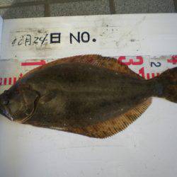 姫路市立遊魚センター 釣果